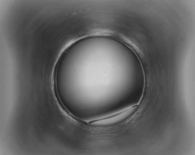 X0000116811471200912241211