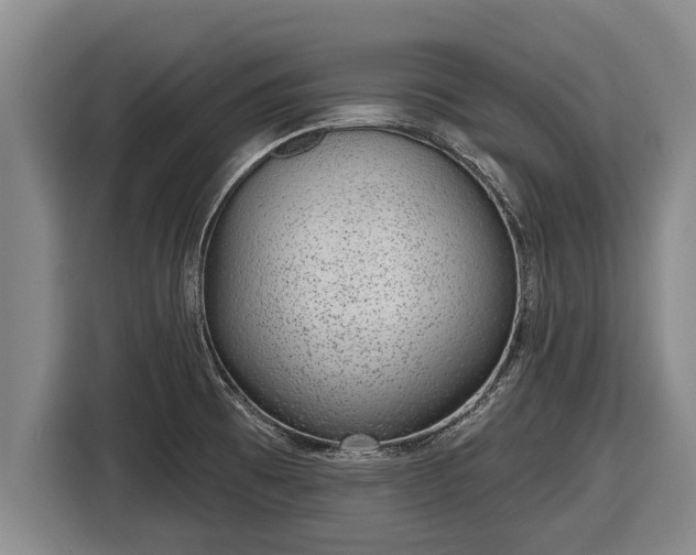 X0000116811473200912241211