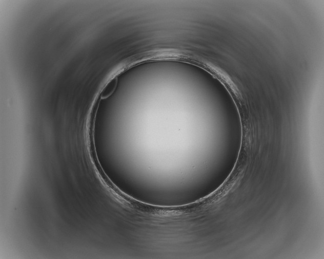 X0000116811475200912241211