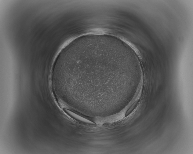 X0000116811477200912241211