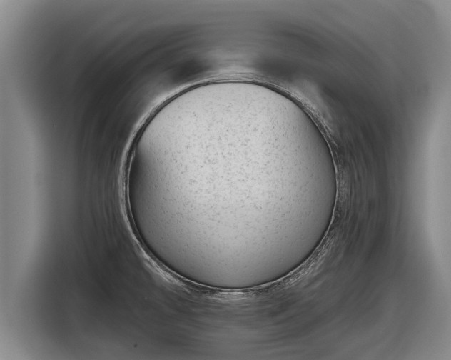 X0000116811478200912241211