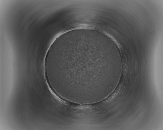 X0000116811479200912241211