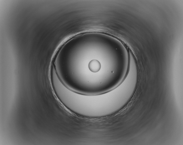 X0000116811480200912241211