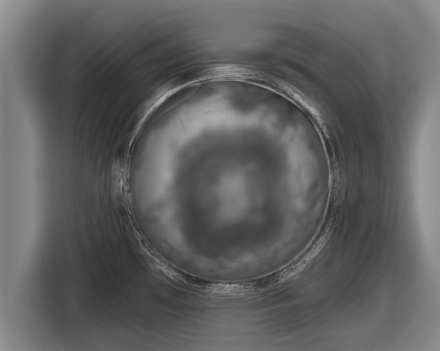 X0000116811481200912241211