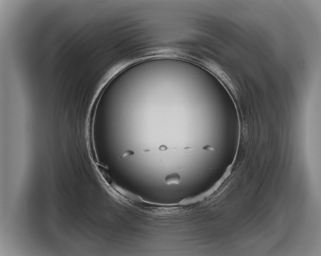 X0000116811482200912241211