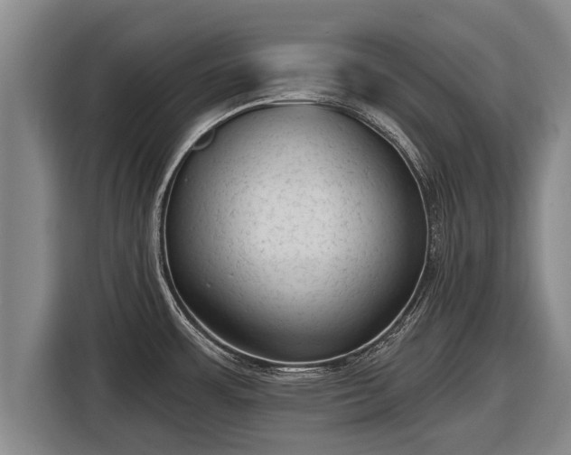 X0000116811483200912241211