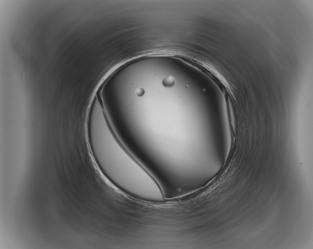 X0000116811484200912241211