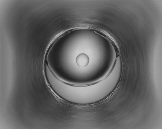 X0000116811485200912241211