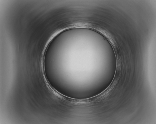 X0000116811486200912241211