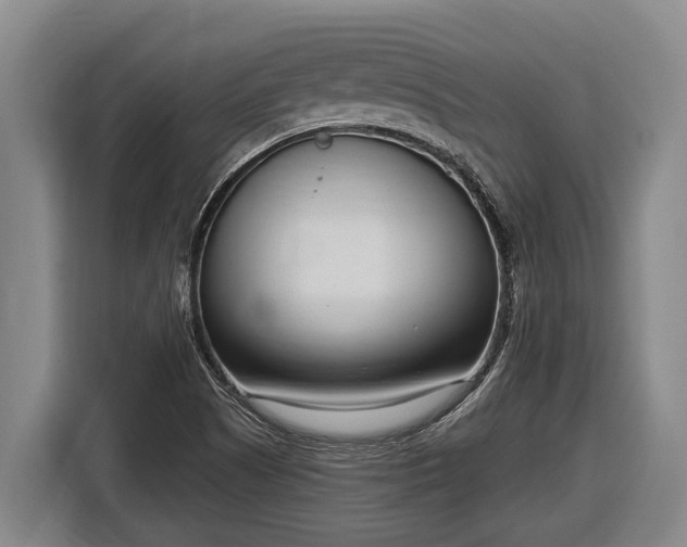 X0000116811505200912241211