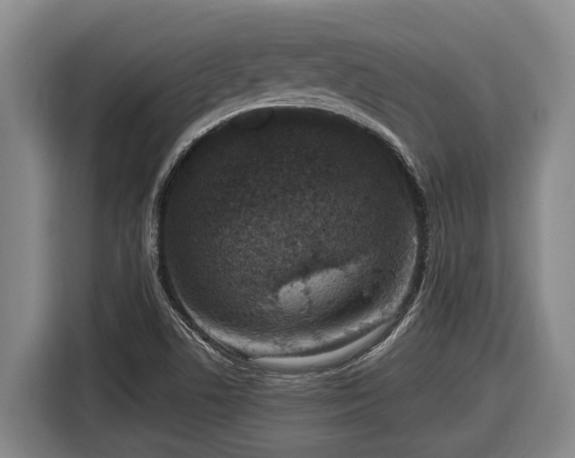 X0000116811506200912241211