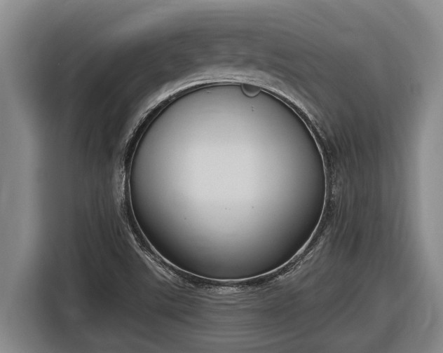 X0000116811507200912241211