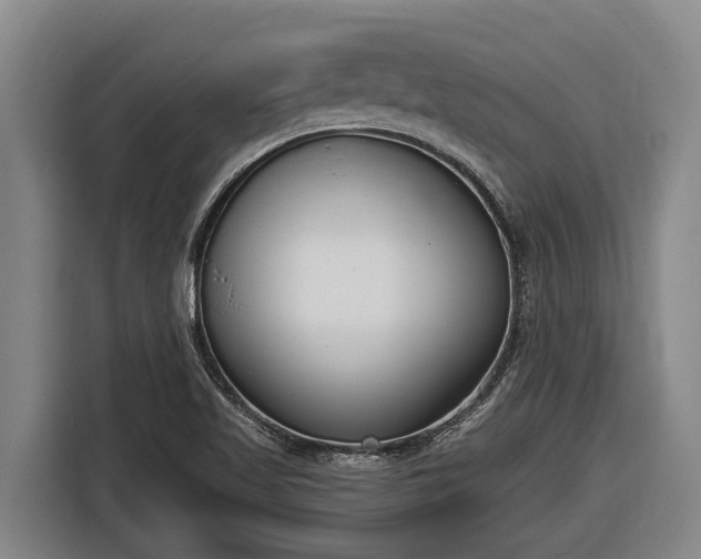 X0000116811509200912241211