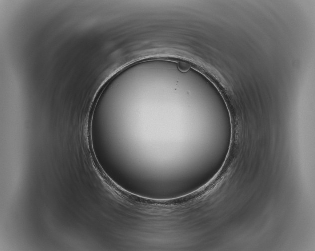 X0000116811513200912241211