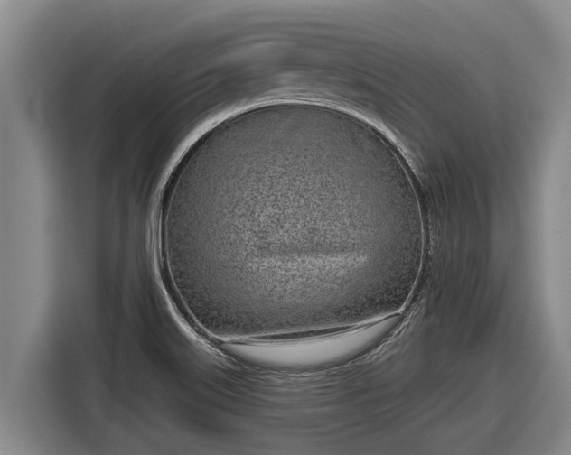 X0000116811515200912241211