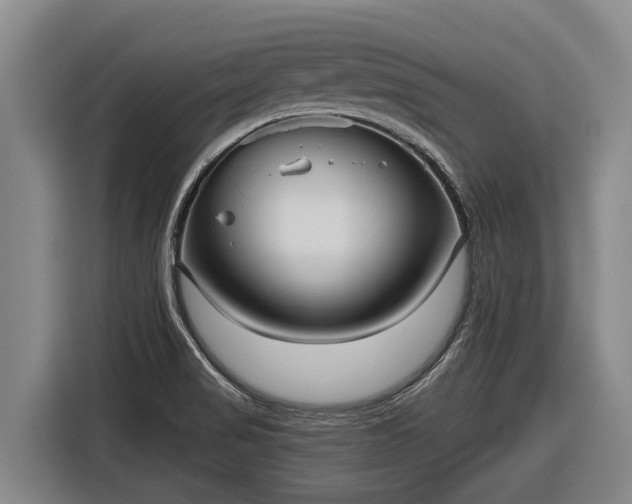 X0000116811517200912241211