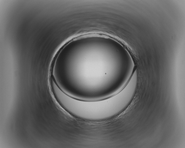 X0000116811518200912241211