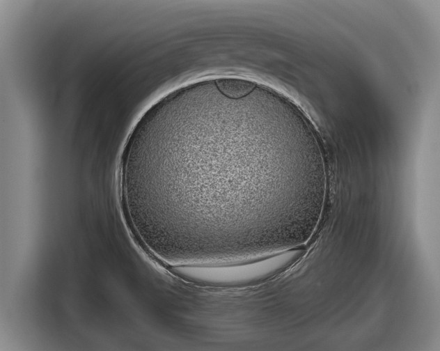 X0000116811519200912241211