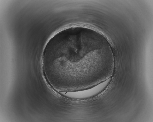 X0000116811522200912241211