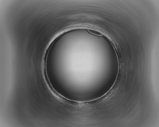 X0000116811523200912241211