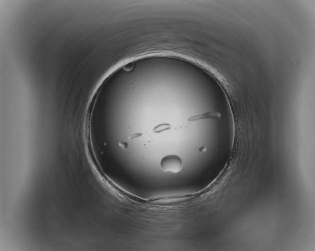 X0000116811526200912241211