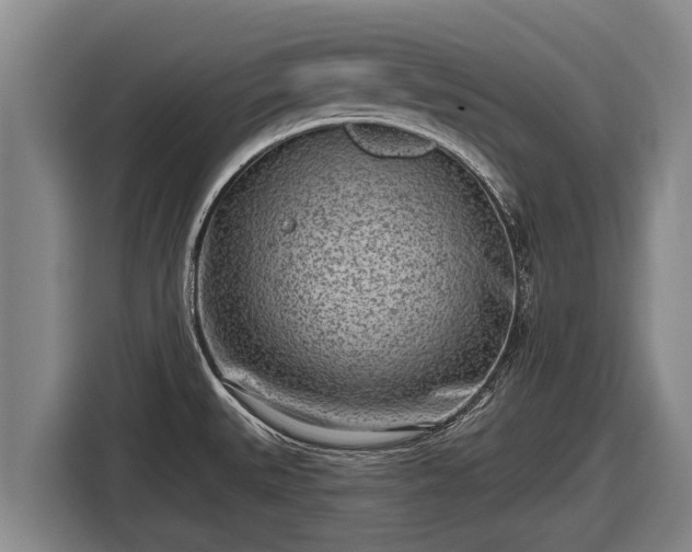 X0000116811527200912241211