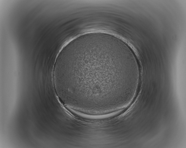 X0000116811529200912241211