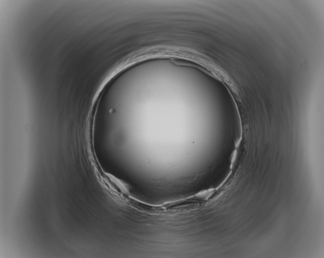 X0000116811530200912241211