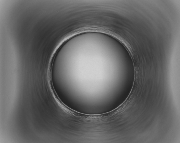 X0000116811531200912241211