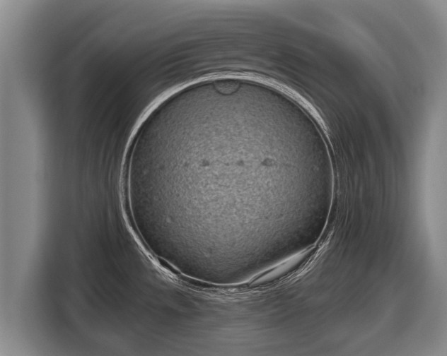 X0000116811533200912241211