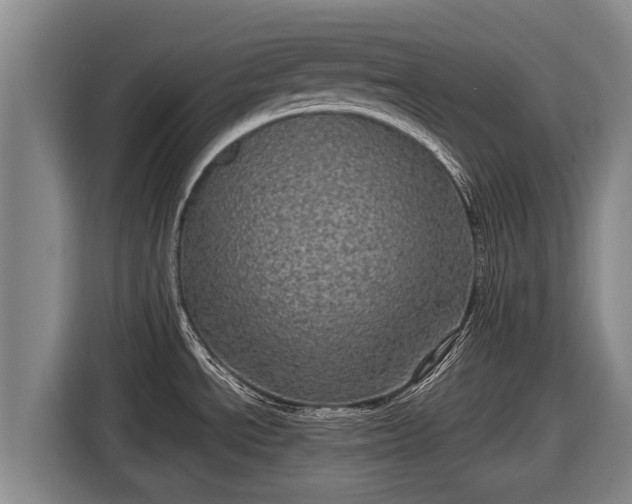 X0000116811534200912241211