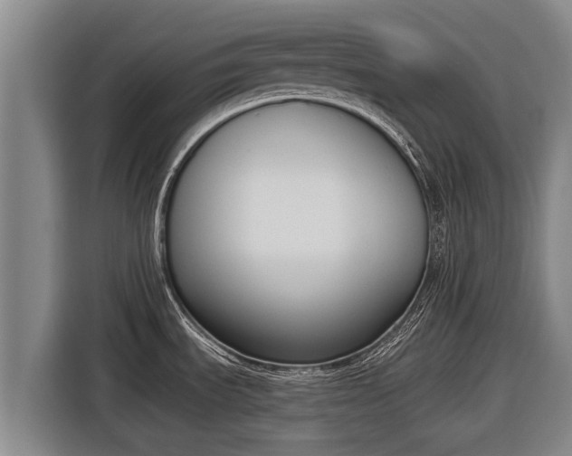 X0000116811535200912241211