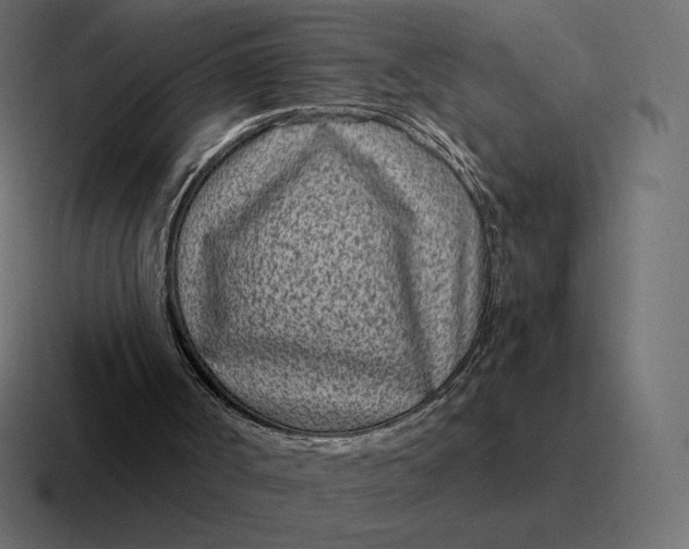 X0000116810002200912312005