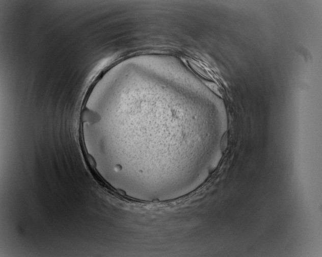 X0000116810003200912312005