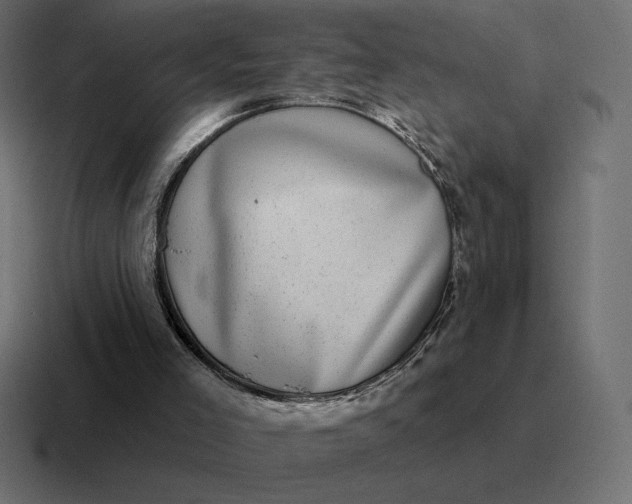 X0000116810005200912312005