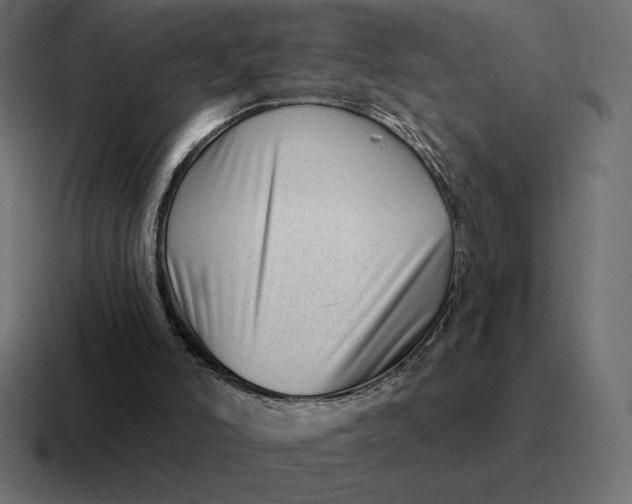 X0000116810006200912312005