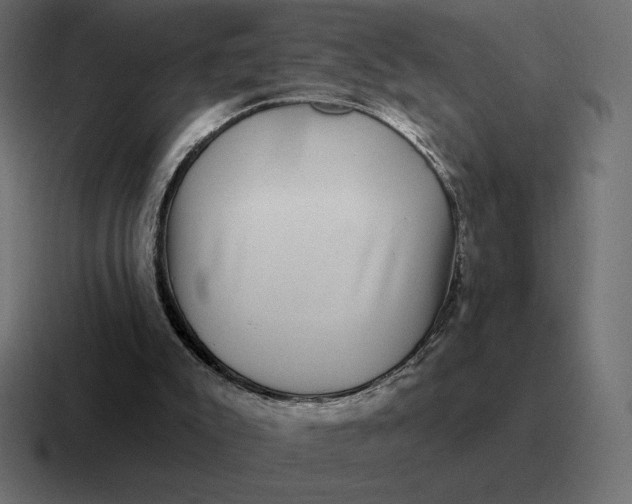 X0000116810007200912312005