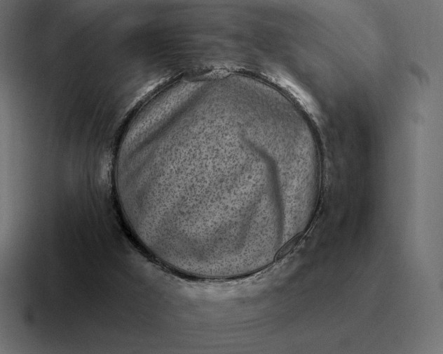 X0000116810009200912312005