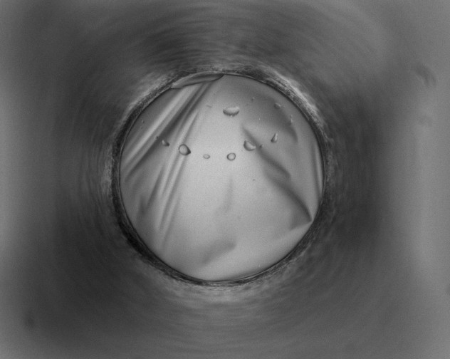 X0000116810010200912312005