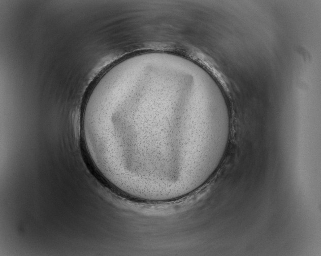 X0000116810011200912312005