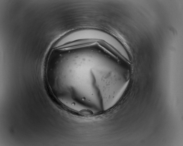 X0000116810012200912312005