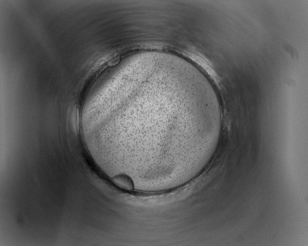 X0000116810013200912312005