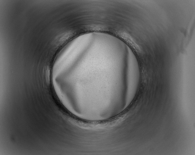 X0000116810014200912312004