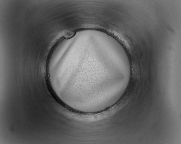 X0000116810015200912312004