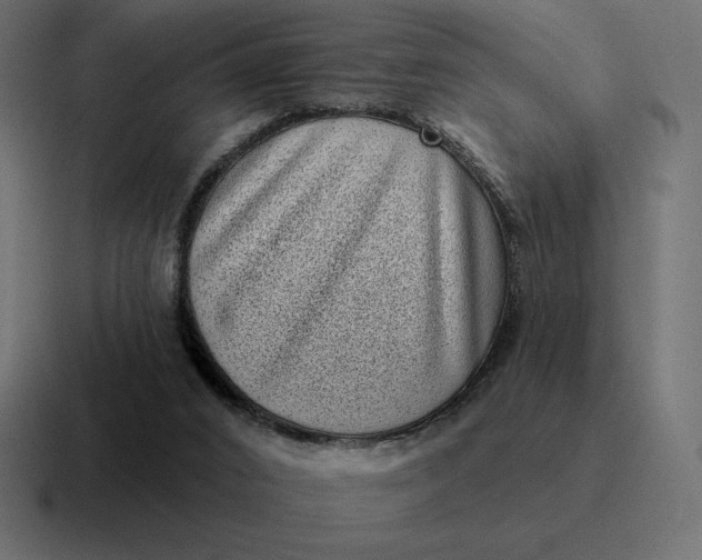 X0000116810016200912312004