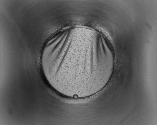 X0000116810017200912312004