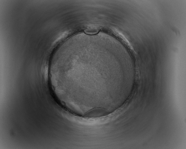 X0000116810019200912312004