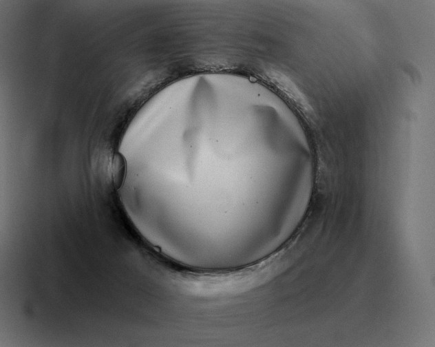 X0000116810021200912312004