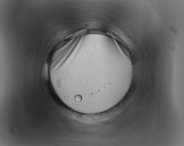 X0000116810022200912312004