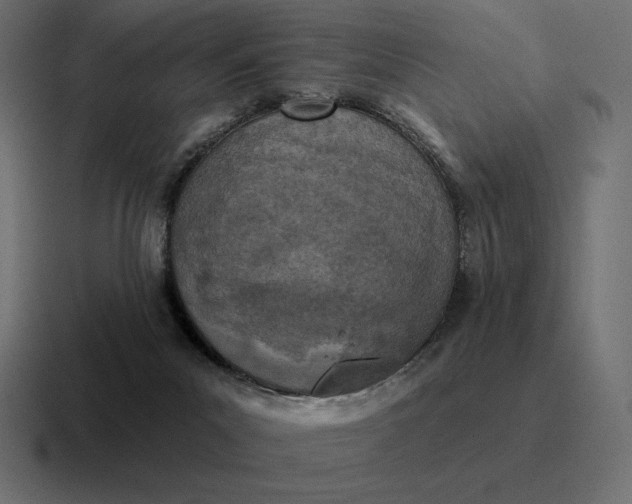 X0000116810023200912312004